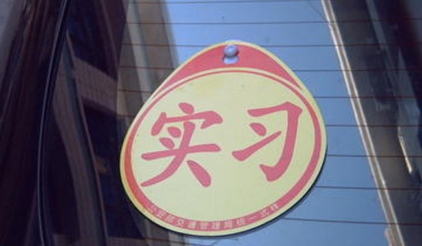 ʵϰ־