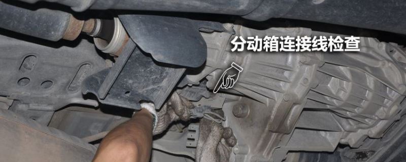 ֶ仵ʲô