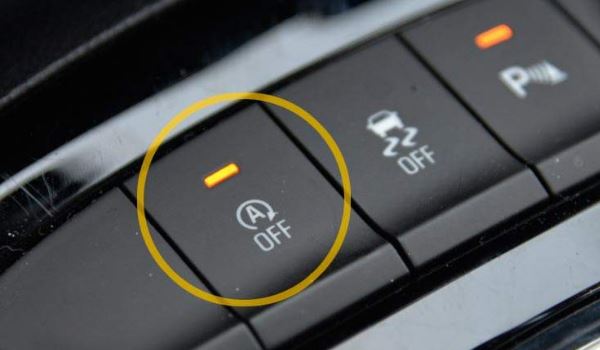 ͣ־