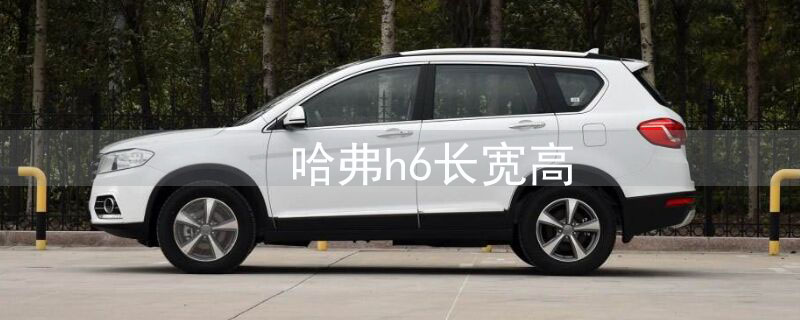 h6