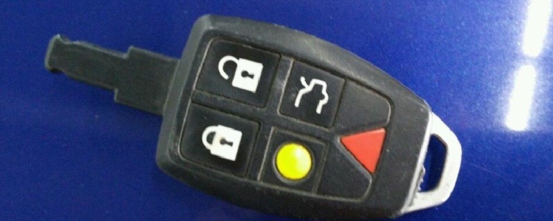 ֶԿ