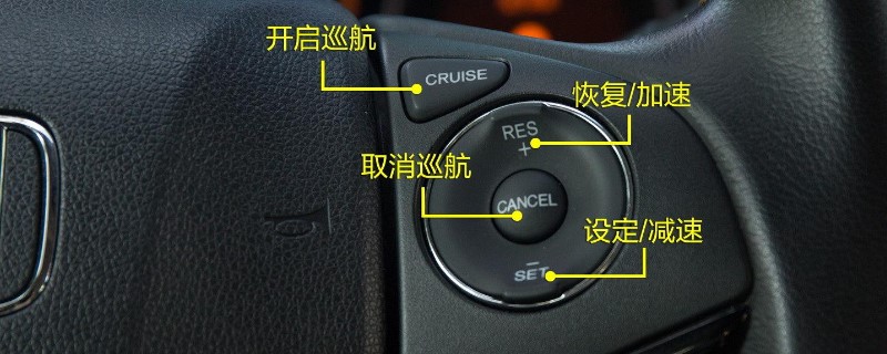 cruiseô