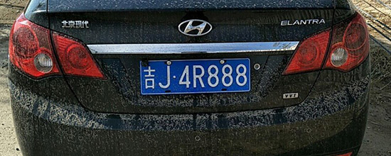 ޳