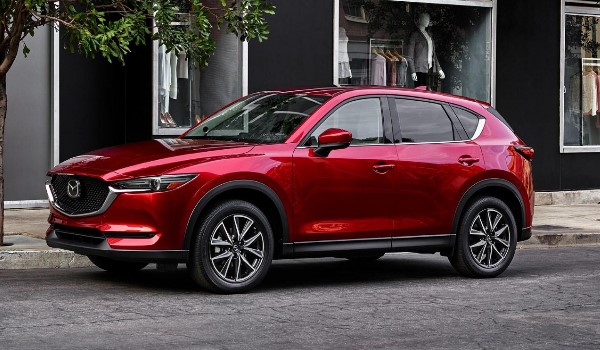 Դcx5ôů