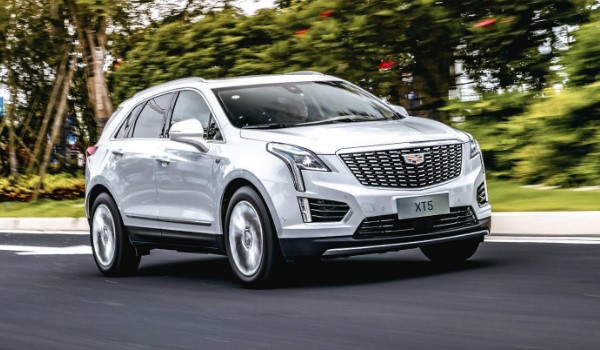 xt5Կ׹
